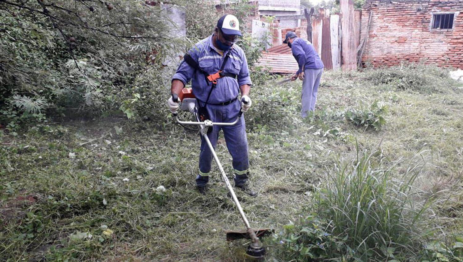 Personal municipal procedió a tareas de descacharreo limpieza desmalezamiento y fumigación