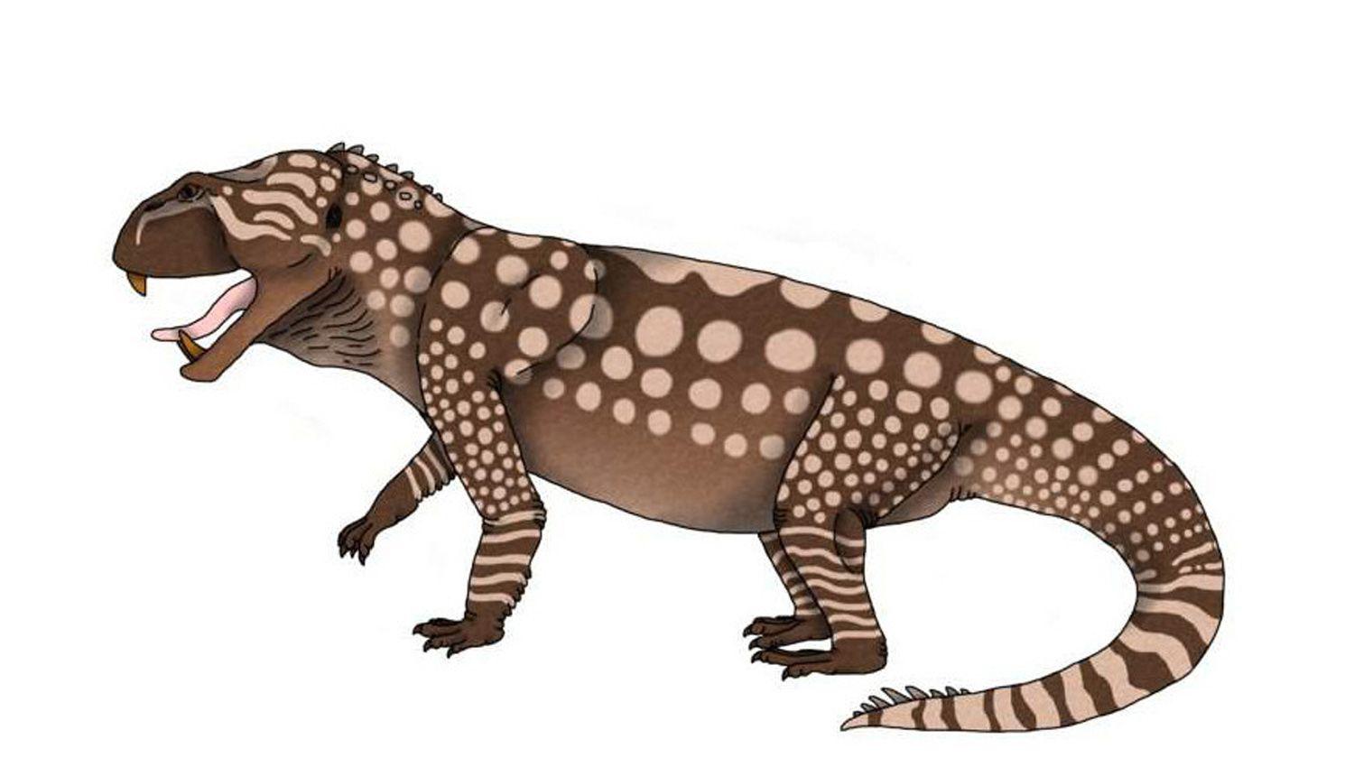 Paleontoacutelogos argentinos hallan nueva especie de rincosaurio en La Rioja