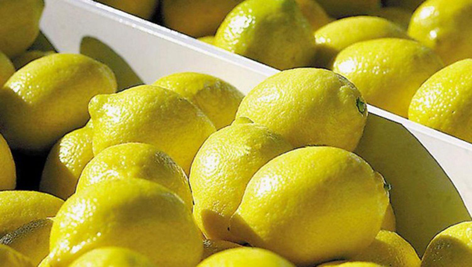 Empresa tucumana productora de limones obtuvo financiamiento por US 60 millones