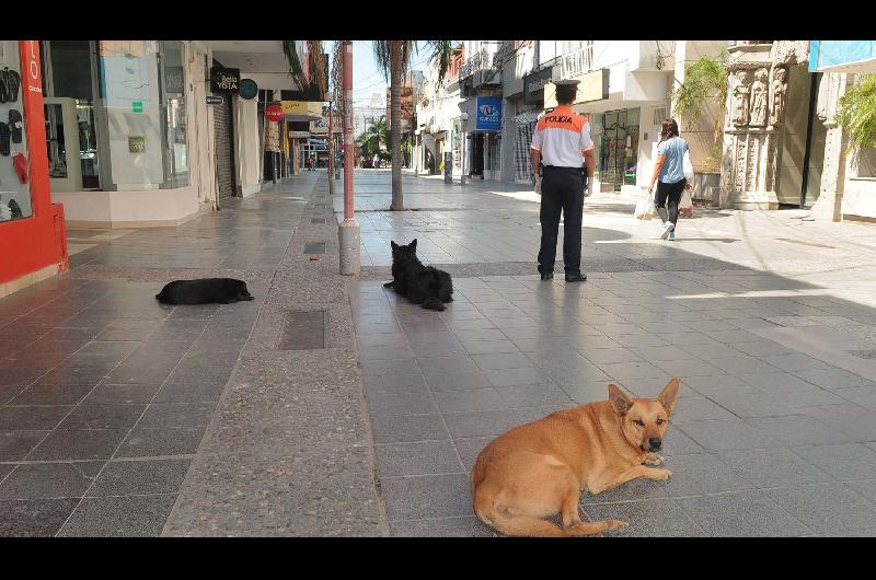 Los comercios no abriraacuten sus puertas mantildeana debido al feriado nacional