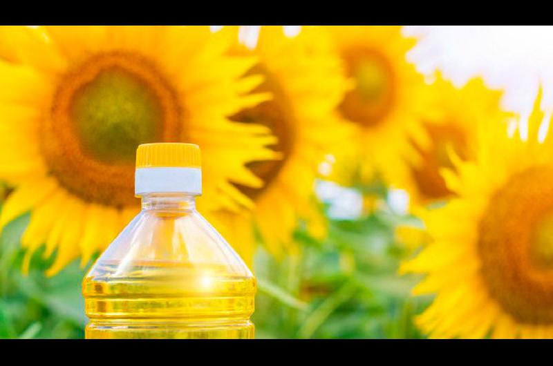 El precio del aceite de girasol crecioacute 197-en-porciento- en diez meses debido a la caiacuteda de la produccioacuten mundial