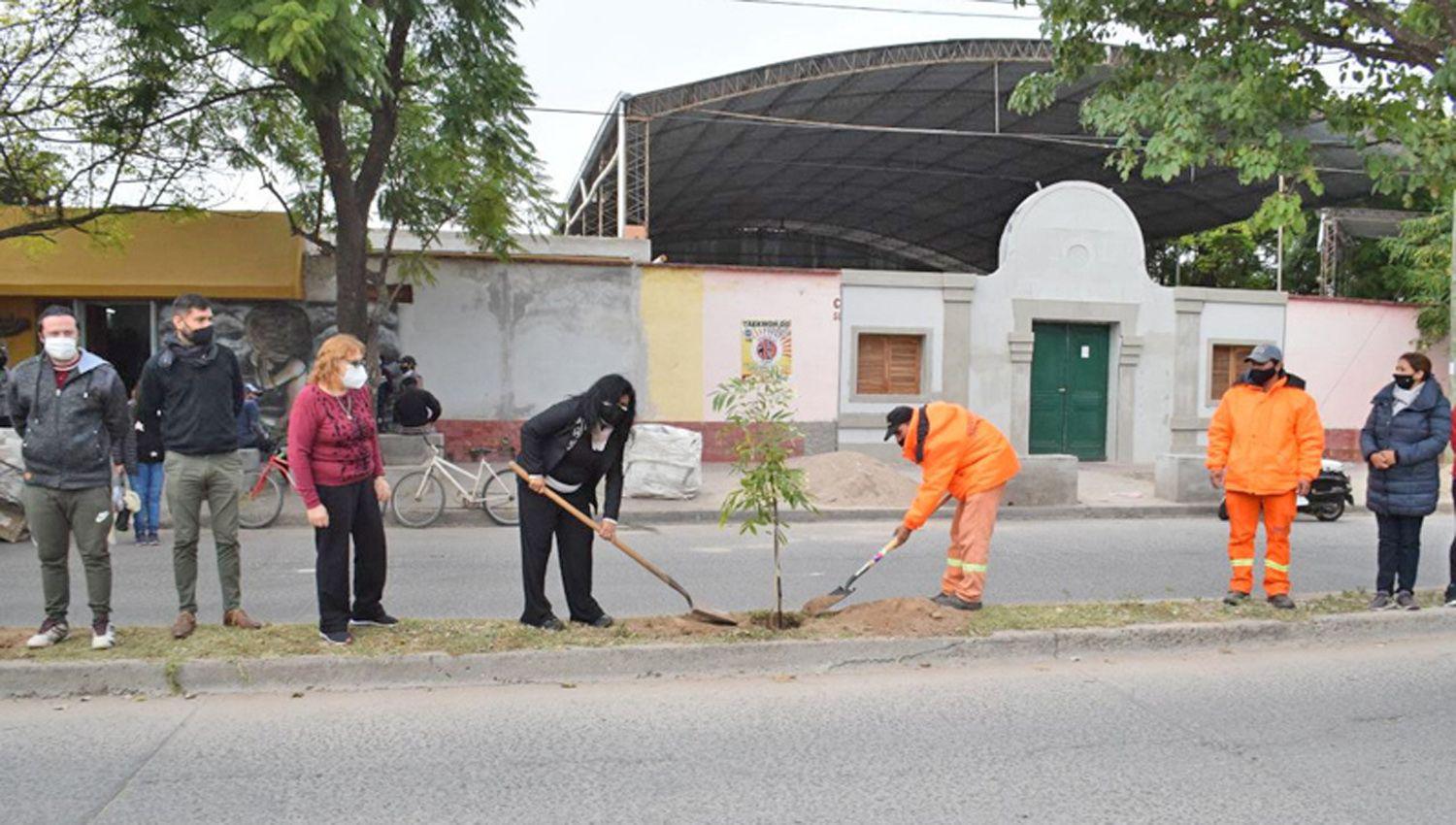 Hubo plantacioacuten de aacuterboles en la avenida Pedro Leoacuten Gallo