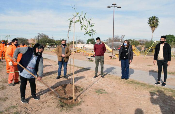 Plantaron aacuterboles en el barrio Campo Contreras y hoy  siguen en el Almirante Brown