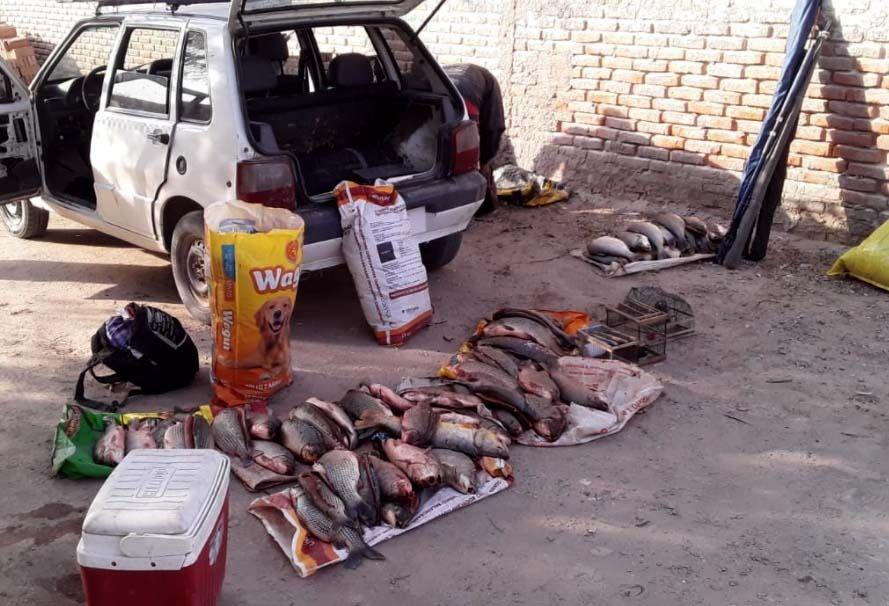 Duro golpe a la caza y pesca furtiva en Brea Pozo- cuatro hombres involucrados