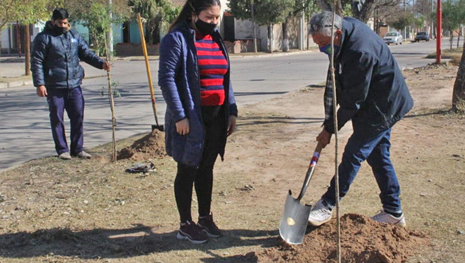 Impulsado por la comuna plantaron 3900 aacuterboles en el barrio Autonomiacutea