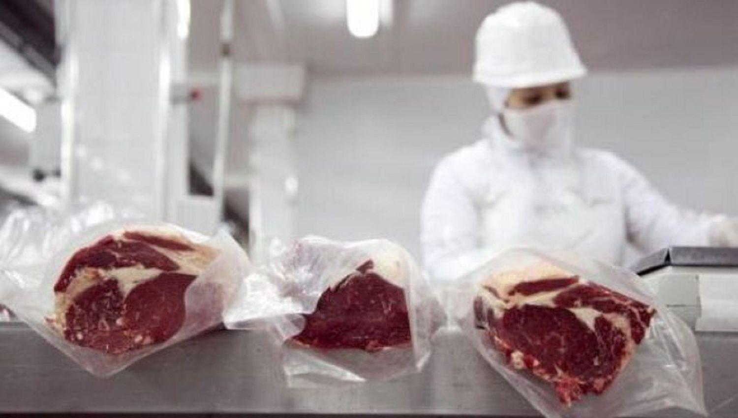 La exportacioacuten de carne crecioacute un 25-en-porciento- en agosto respecto de julio pero cayoacute 17-en-porciento- interanual