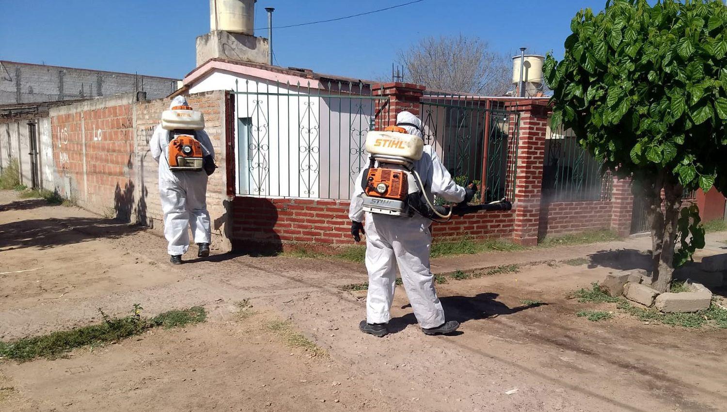 Las fumigaciones en la Capital esta semana abarcaraacute varios barrios