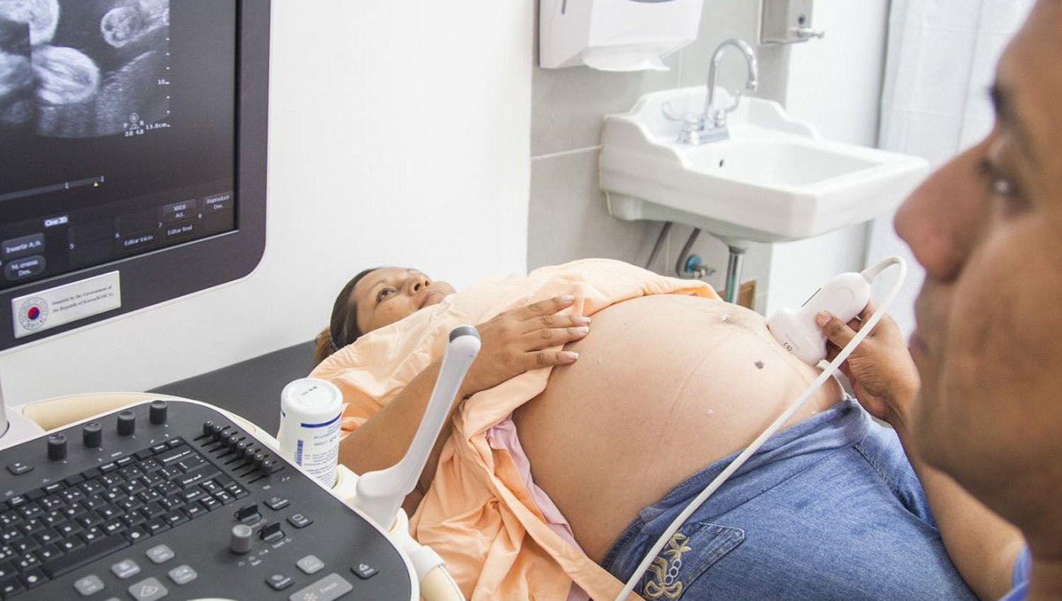 Contar con toda la información favorecer� llevar adelante un embarazo sin riesgos