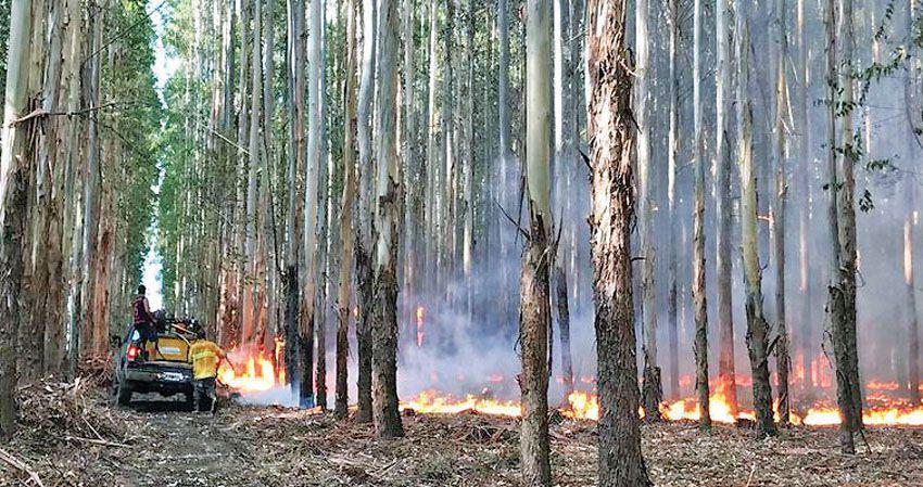 Prohibieron el uso de fuego en todos los parques nacionales