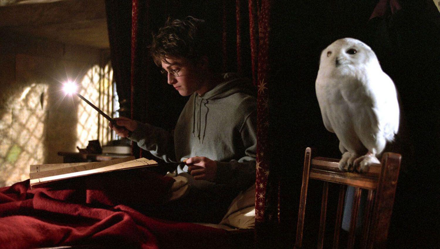 El mago Harry Potter y los Animales fantaacutesticos no paran de emocionar