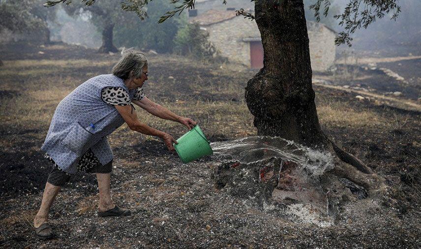 Los expertos de Europa esperan un apocalipsis del calor