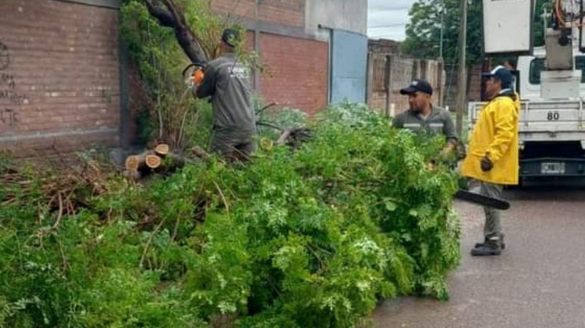 IMAacuteGENES  Intenso trabajo del Comiteacute de Emergencia de la Municipalidad limpiando calles y desaguumles