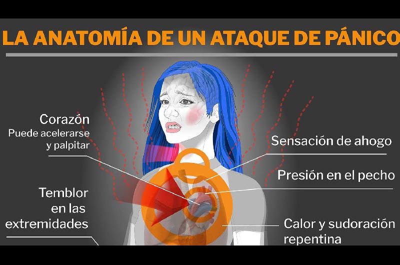 Ataque de paacutenico- afecta cada vez a maacutes chicos tras la pandemia