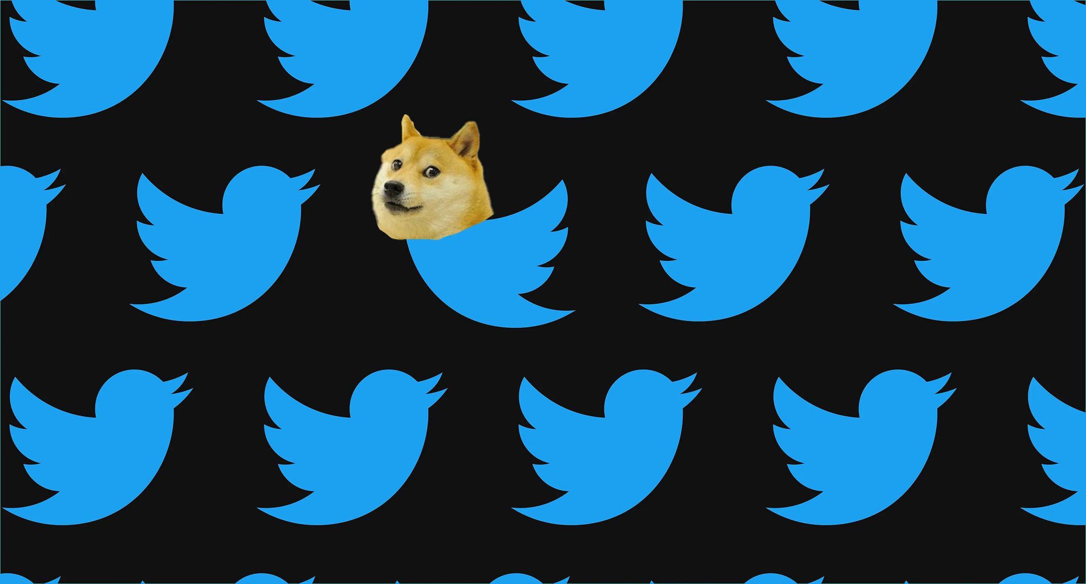 iquestHackearon Twitter Queacute significa el perro que ahora aparece en lugar del pajarito azul