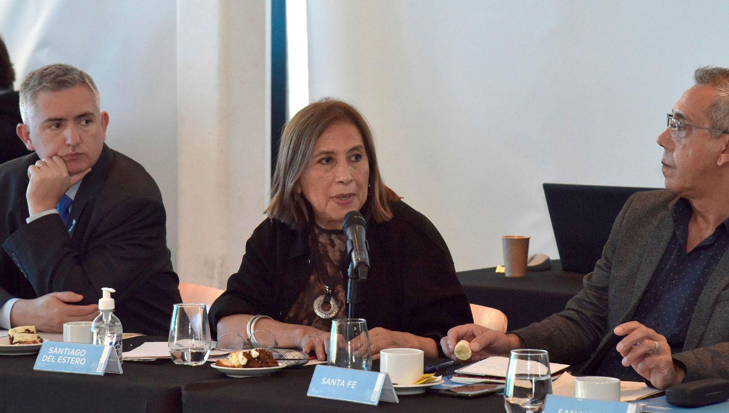 Santiago presente en la reunioacuten del Consejo Federal de Salud