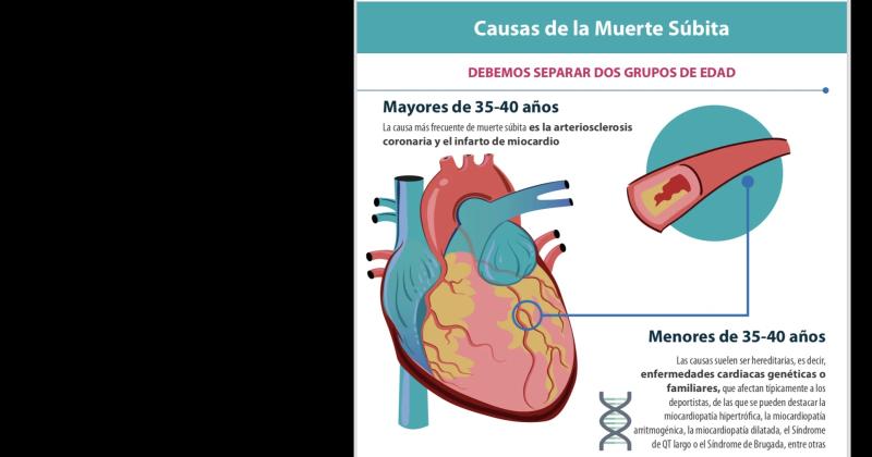 Se produce maacutes de una muerte suacutebita cada 15 minutos en el paiacutes