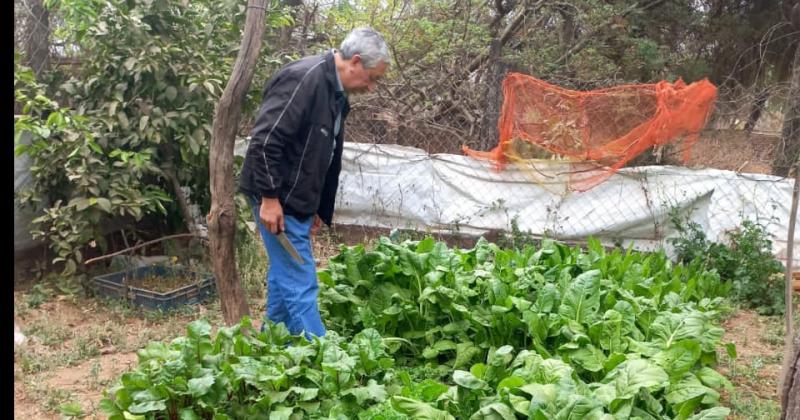 Vecino compartioacute una unidad demostrativa de su huerta orgaacutenica