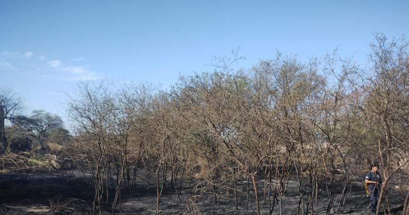 FOTOS  Bomberos combaten el incendio de montes al sur de la ciudad