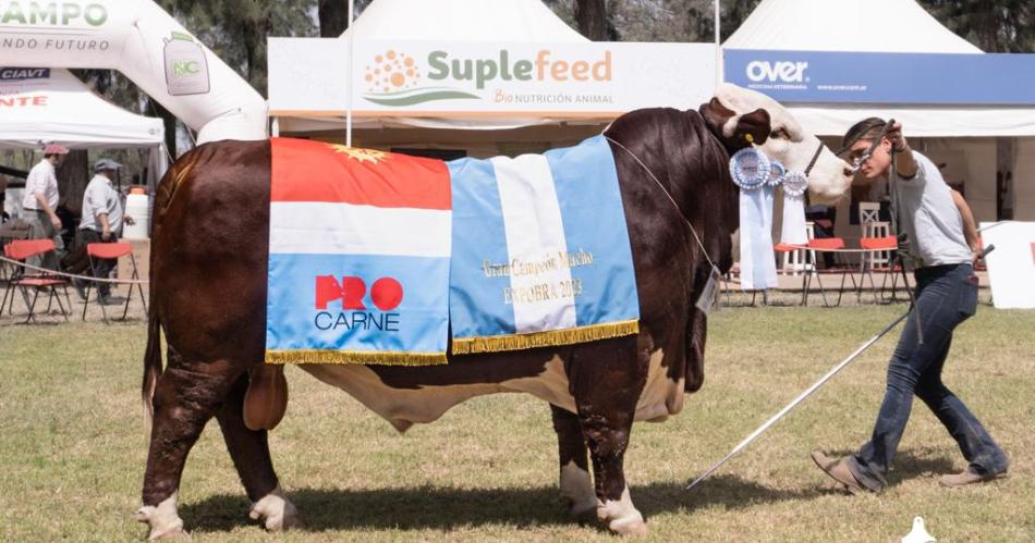 Un toro de El Amargo gran campeoacuten de la ExpoBra