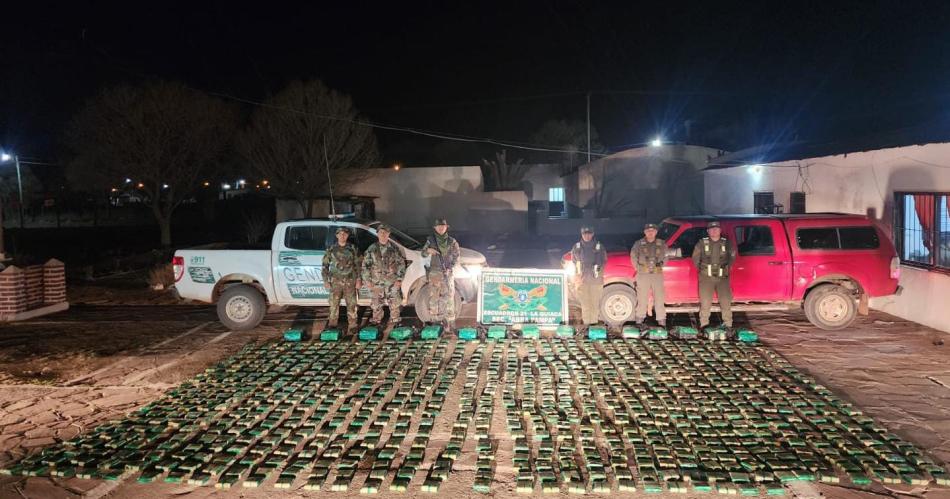 Gendarmeriacutea incauta 370 kilos de hojas de coca en estado natural