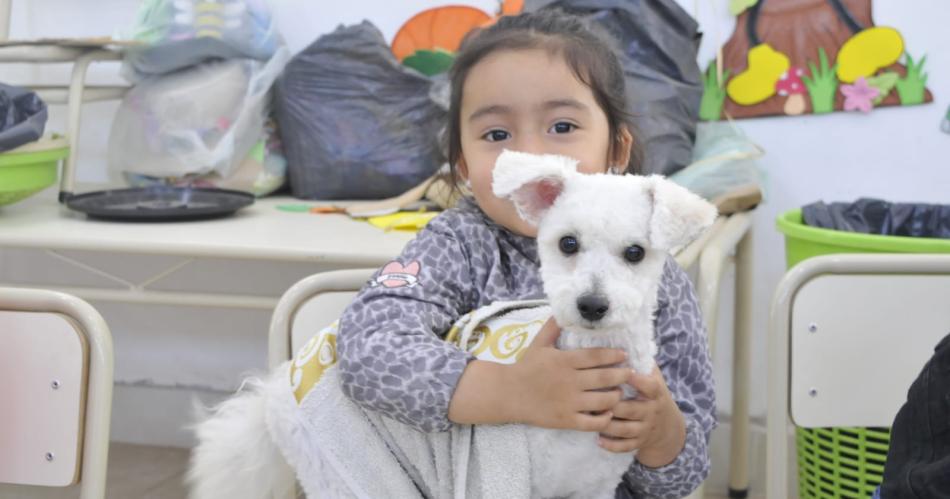 Castraron mascotas en el barrio La Loma