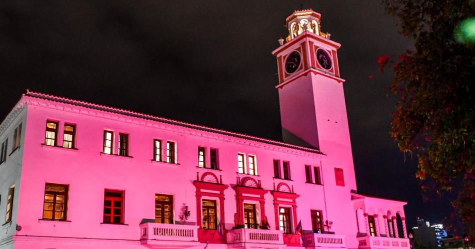 La Casa de Gobierno se tintildeoacute de rosa por la lucha contra el Caacutencer de Mama