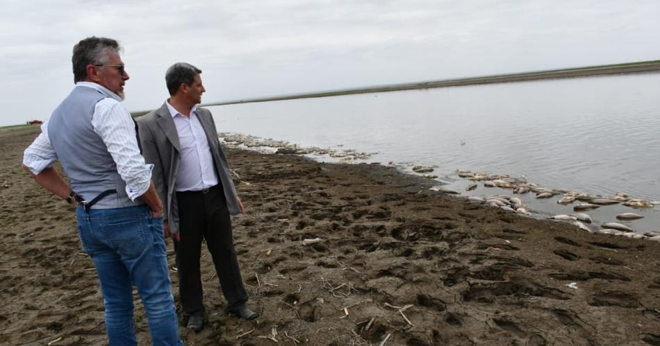 Iniciaraacuten acciones penales por la mortandad de peces en el embalse de Riacuteo Hondo