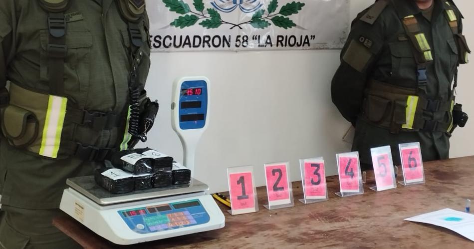 Detienen a una pasajera que trasladaba cocaiacutena y registran un terreno con plantas de marihuana