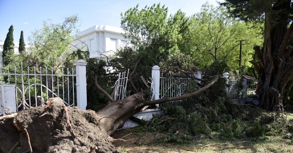 Identifican a 12 de las 13 viacutectimas fatales del temporal en Bahiacutea Blanca