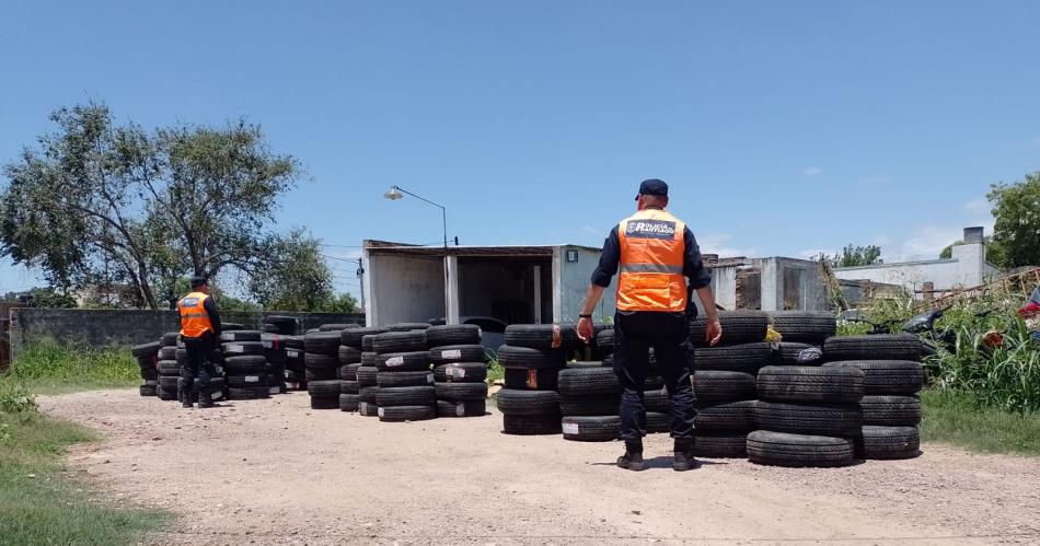 Decomisan gran cantidad de cubiertas transportada ilegalmente