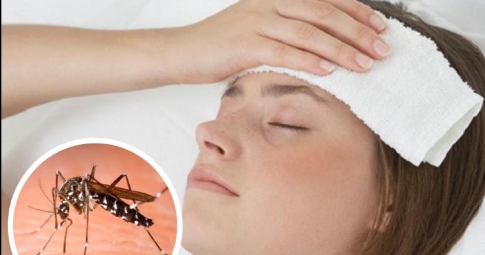 Los dos mosquitos de temporada- prevencioacuten y principales siacutentomas