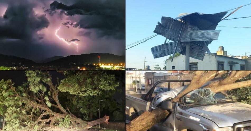 Temporal en Jujuy causoacute anegamientos caiacuteda de aacuterboles y dejoacute cientos de evacuados