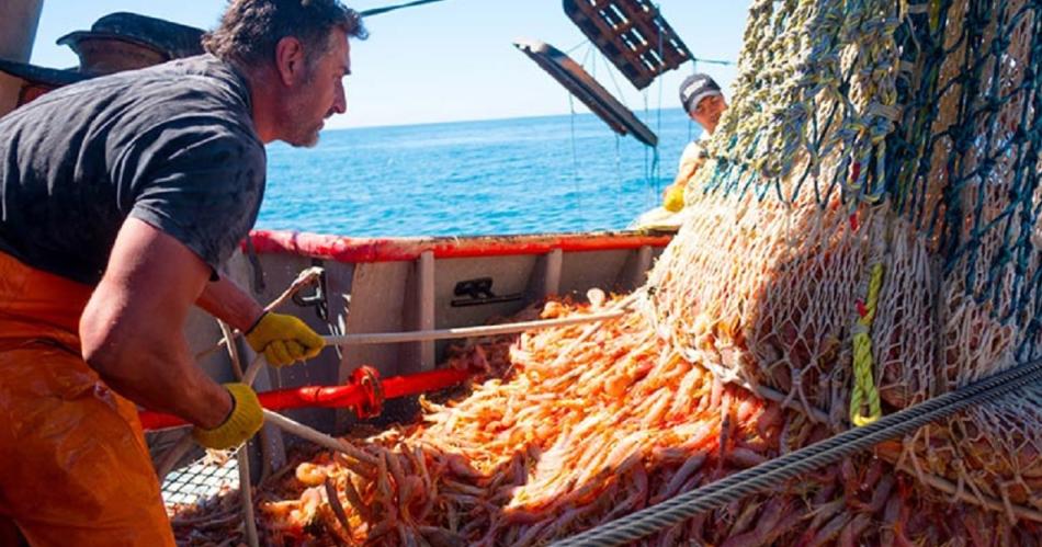 Denuncian riesgo ecoloacutegico por toneladas de langostinos arrojados por barcos pesqueros