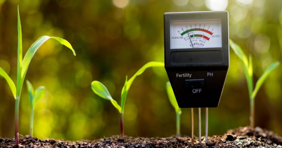 La agricultura regenerativa clave en  la solucioacuten ante el cambio climaacutetico