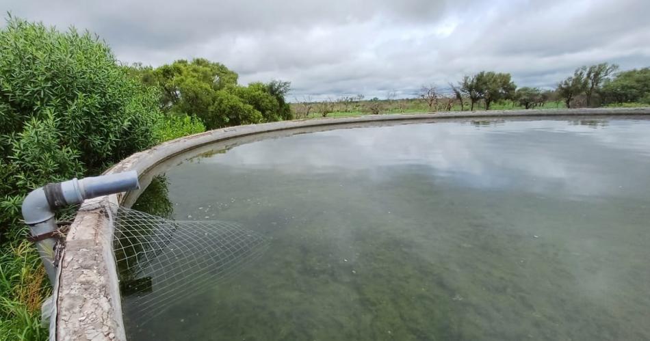 Bioacutelogos regresan en febrero a buscar al aacuteguila coronada en Santiago del Estero