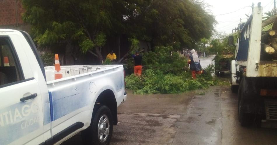 Intenso trabajo del personal municipal tras el temporal