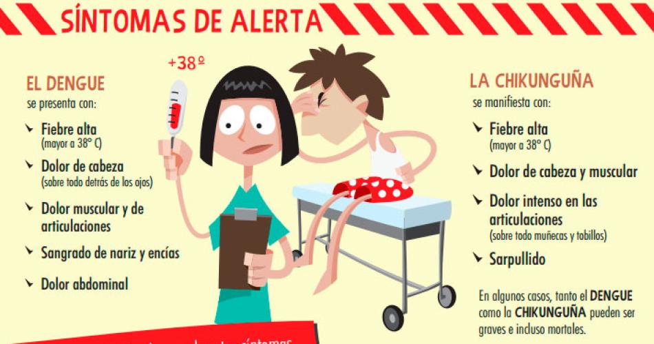 El dengue y los nintildeos- coacutemo actuar ante los siacutentomas compatibles con la enfermedad