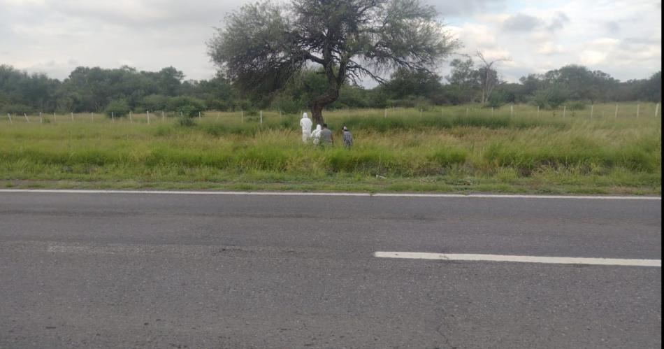 El cadaacutever hallado a la vera de la Ruta 9 teniacutea un golpe en la cabeza