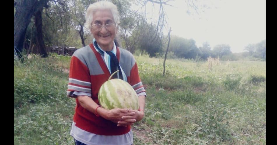 Tiene 92 antildeos y cosechoacute zapallos gigantes a pesar de la sequiacutea