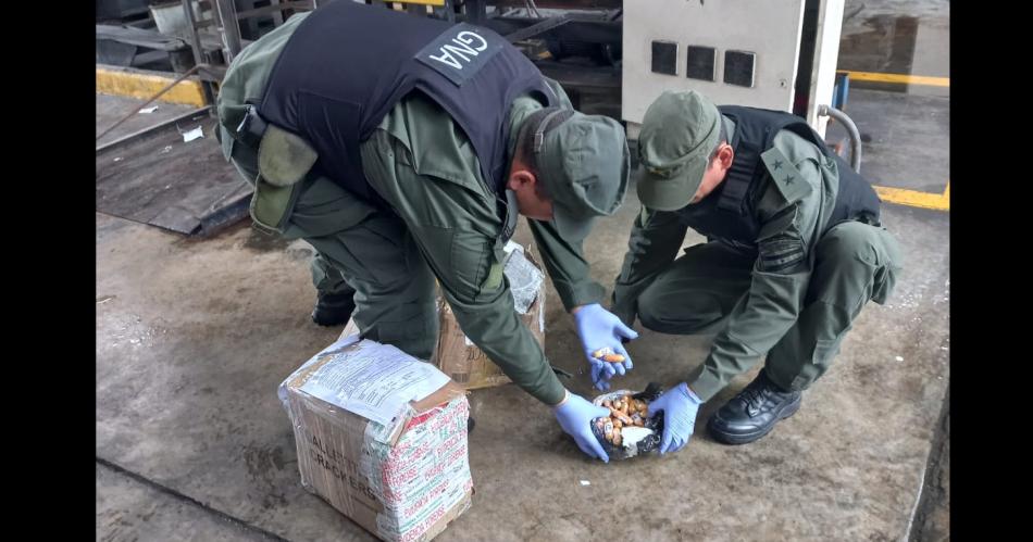 Al horno maacutes de 100 kilos de cocaiacutena que fuera incautada a narcos en Santiago y Tucumaacuten