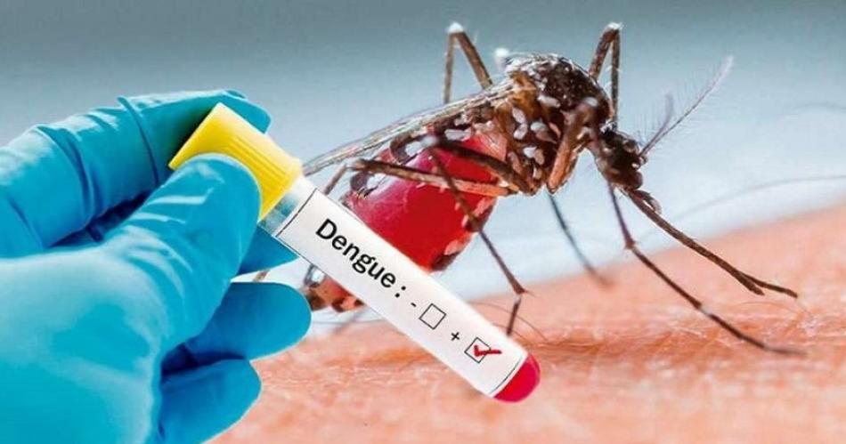 Por quinta semana baja el promedio de casos de dengue en la Argentina