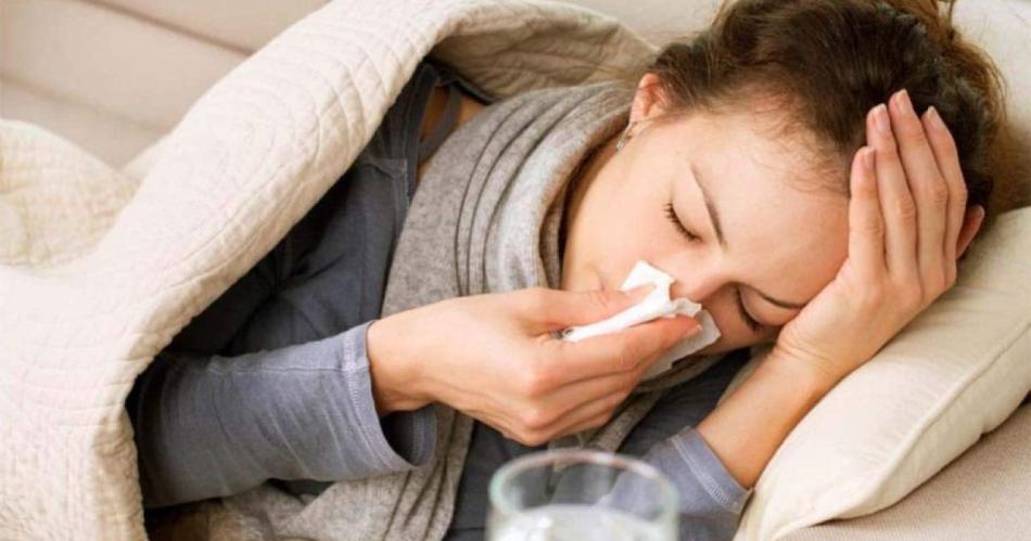 Detectan una mayor circulacioacuten del virus de la gripe estacional