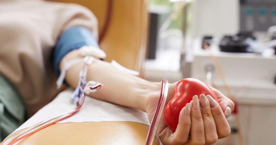 Hoy habraacute colecta de sangre en la Facultad de Humanidades