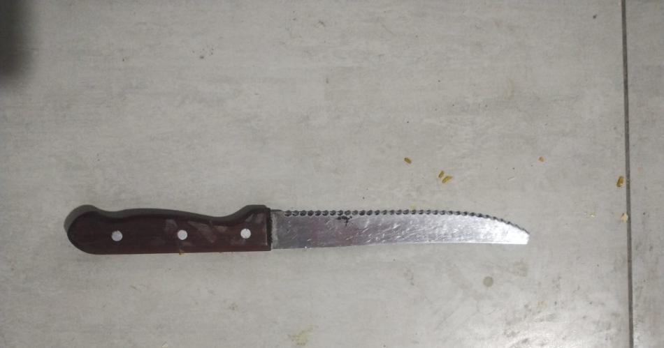 Dos joacutevenes detenidos por cortar cables con un cuchillo de cocina