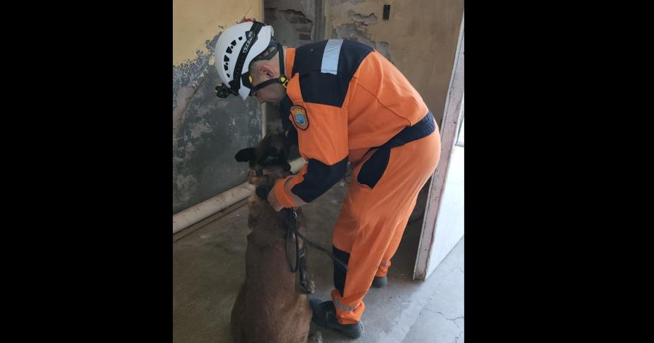 Equipos de canes locales se entrenan y especializan con pares de Catamarca y de Salta