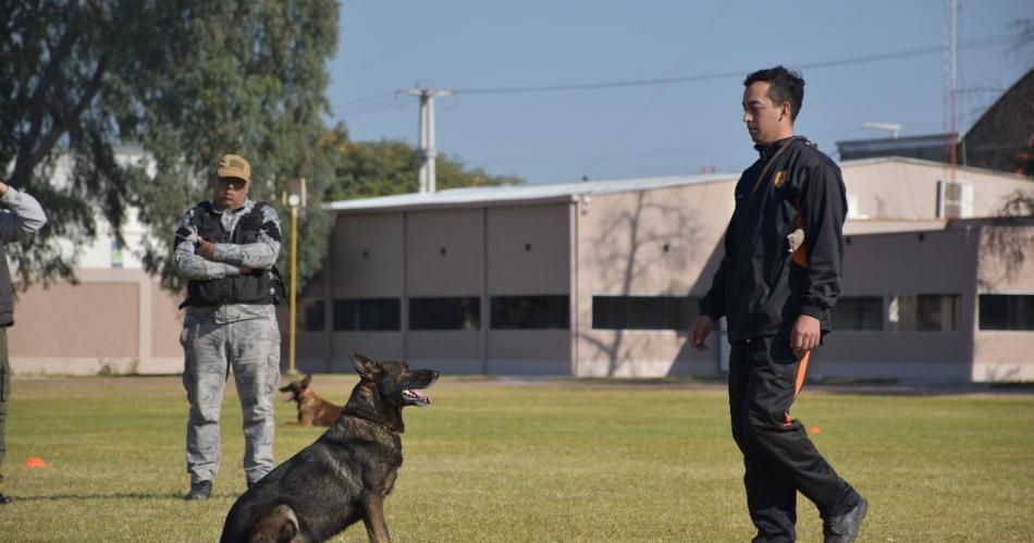 Equipos de canes locales se entrenan y especializan con pares de Catamarca y de Salta