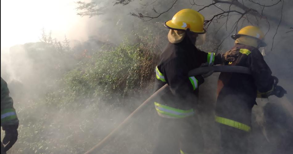 FOTOS- incendio en un depoacutesito requirioacute maacutes de 6 horas de trabajo de bomberos