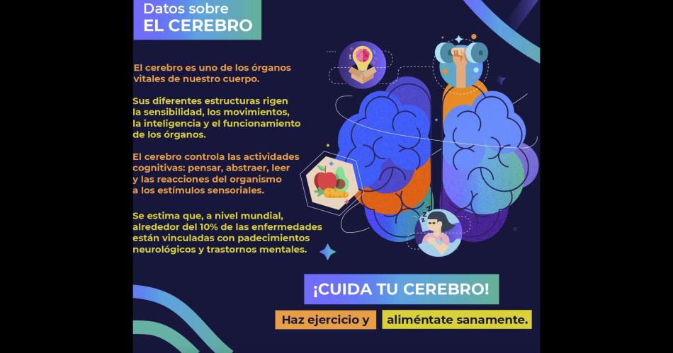 Los haacutebitos saludables son vitales para el cuidado del cerebro