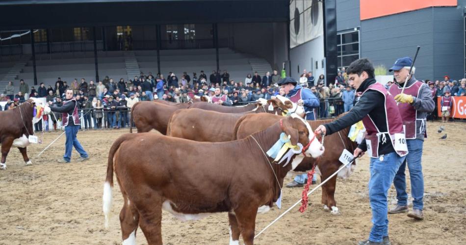 Orgullo santiaguentildeo- por 1era vez dos cabantildeas locales en la final Braford de la Expo Rural Palermo 2024