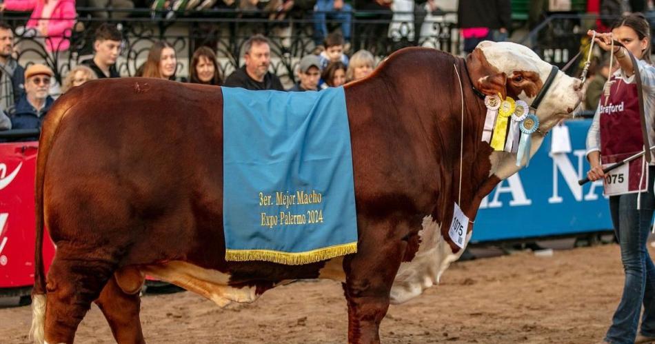 Una cabantildea santiaguentildea obtuvo 7 premios en la pista de Palermo 2024